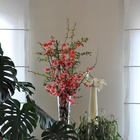 Della Hotel 3*